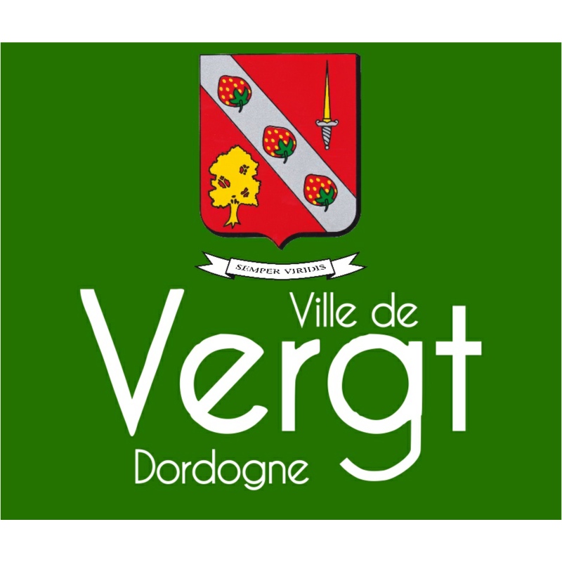 Création de logo - Graphiste en Dordogne - Absolute Design - Logo Client Proclub24 ville de vergt