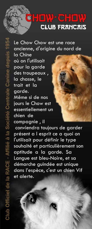 création graphique - Club-chowchow-roll-up